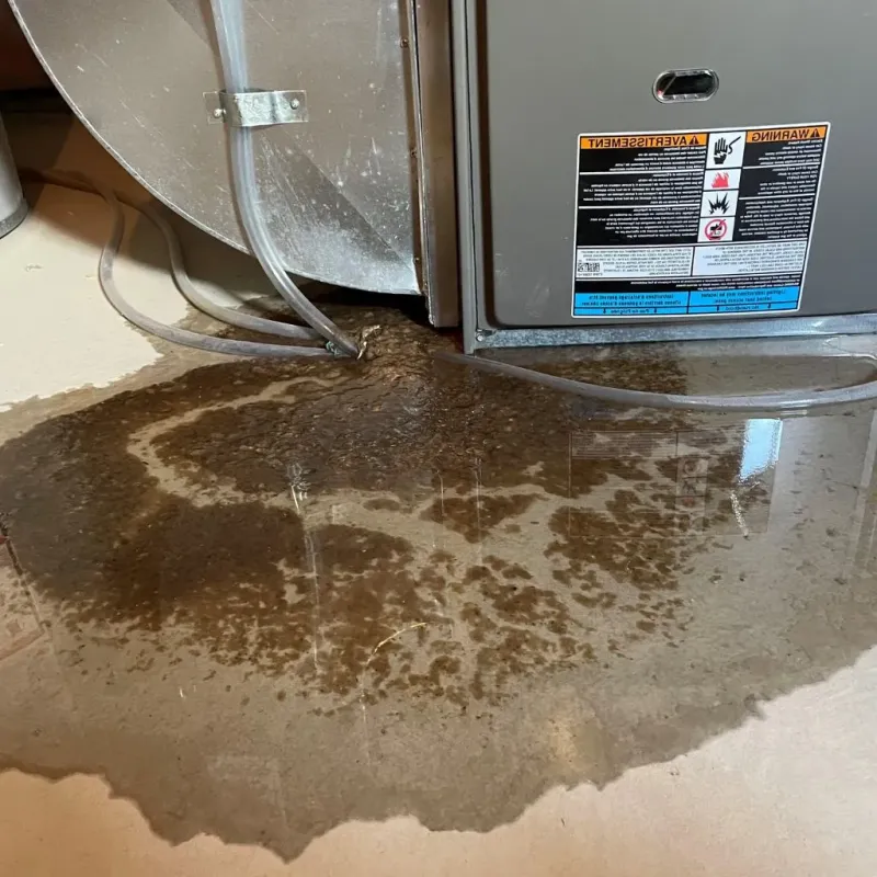 Pipe Burst and Leak Restoration in Gila County, AZ